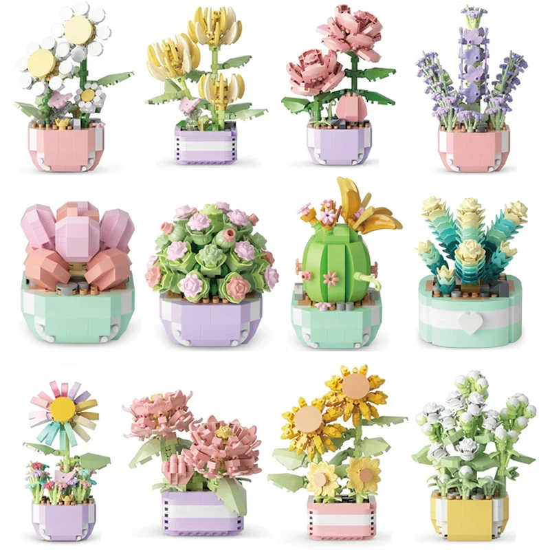 Flower Succulents Building Blo - مراجعة Model Kit Chemistry وسعره