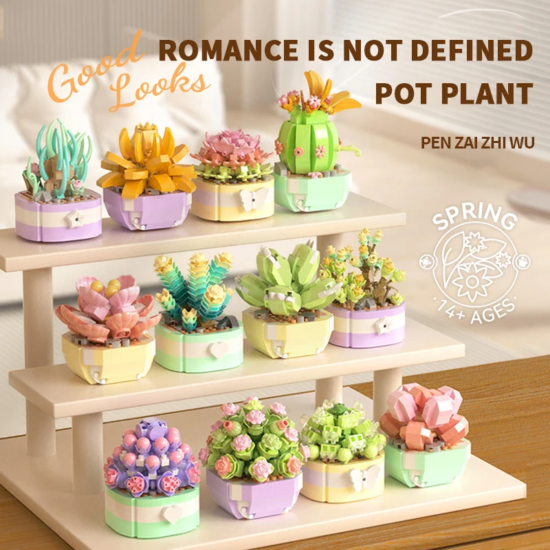 Flower Succulents Building Blo - مراجعة Model Kit Chemistry وسعره