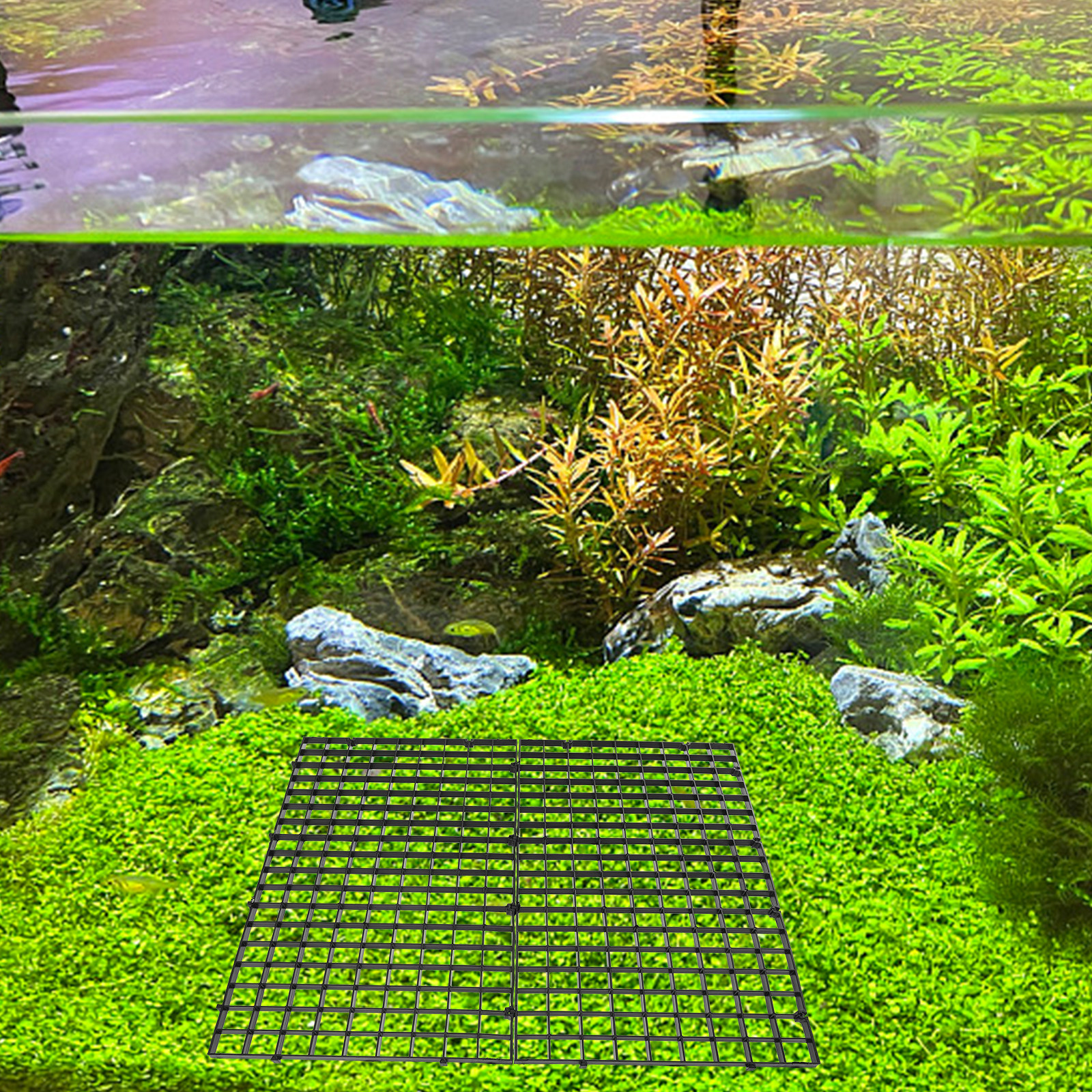 10Pcs Aquarium Divider Tray Pl - مراجعة Panel Line Marker وسعره